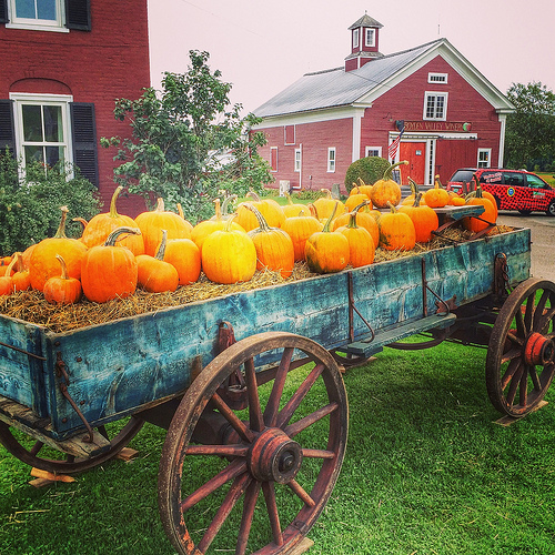 Pumpkins at Boyden Valley Winery & Spirits via Lizshealthytable.com
