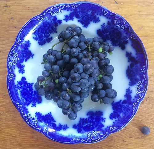 Concord Grapes for a healthy snack via Lizshealthytable.com
