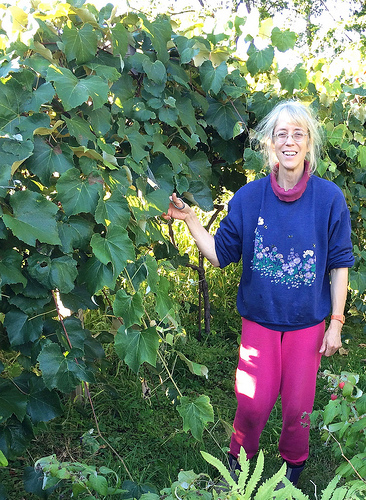 Meadow Mist Farm in Lexington, MA via Lizshealthytable.com