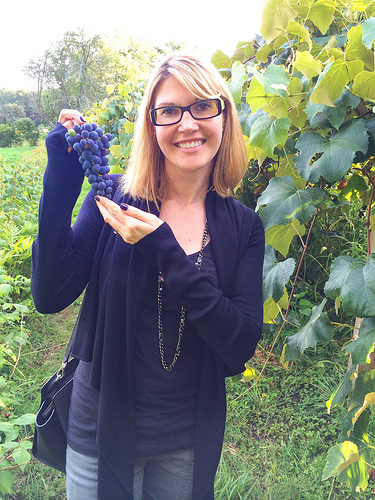 Welch's dietitian picks Concord grapes at Meadow Mist Farm via Lizshealthytable.com