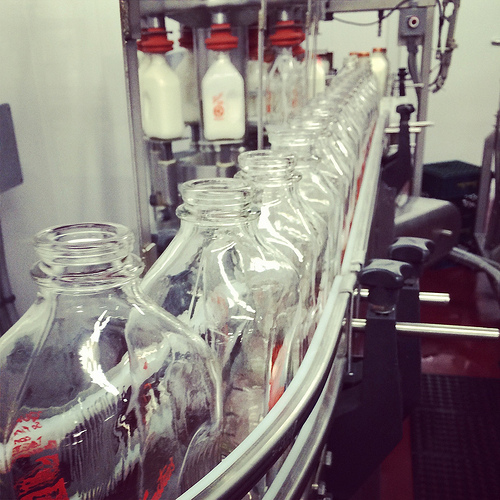 Hornstra Dairy Farm via LizsHealthyTable.com Hornstra Dairy Farm via LizsHealthyTable.com