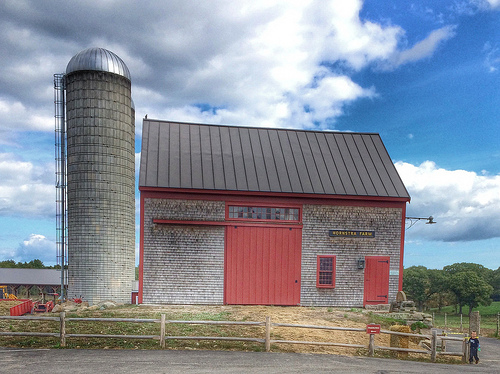 Hornstra Dairy Farm via LizsHealthyTable.com Hornstra Dairy Farm via LizsHealthyTable.com