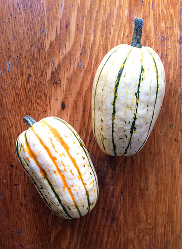 Delicata Squash via LizsHealthyTable.com