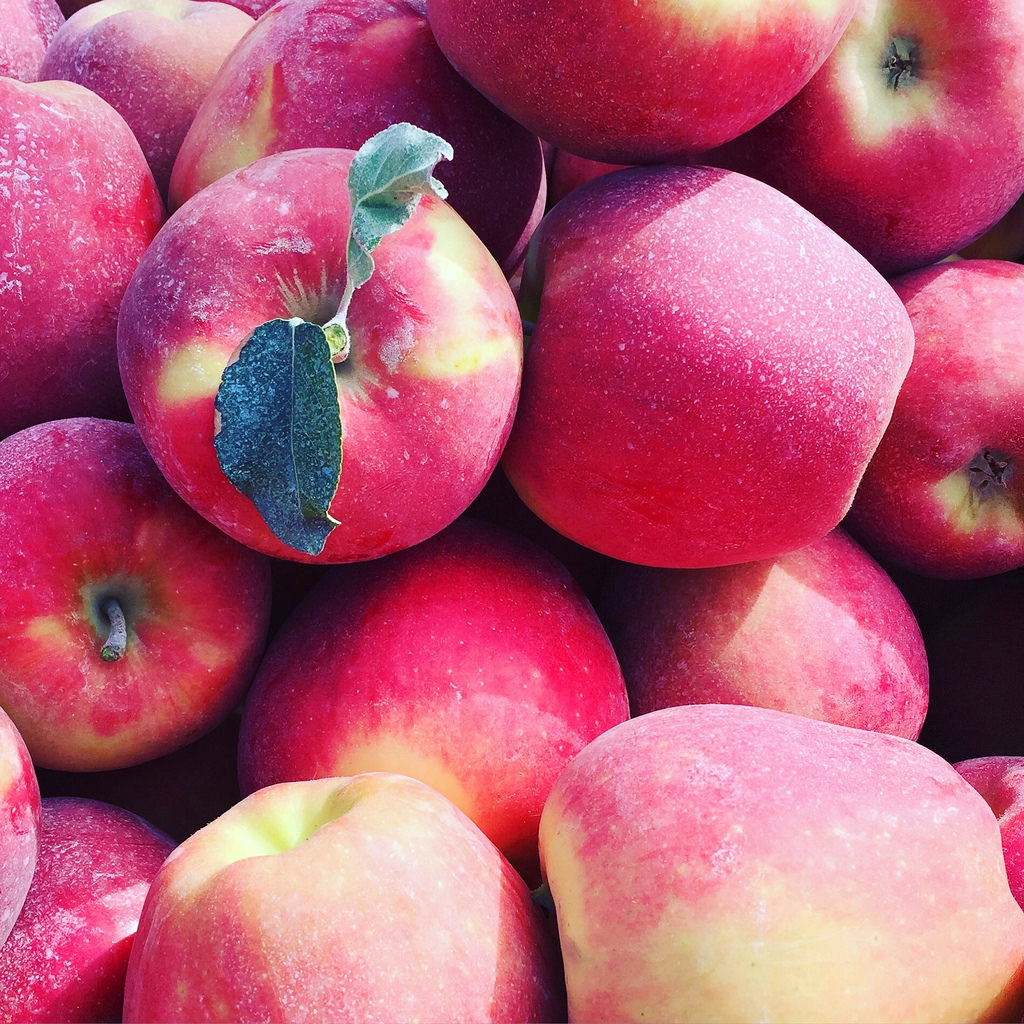 Ambrosia apples via LizsHealthyTable.com