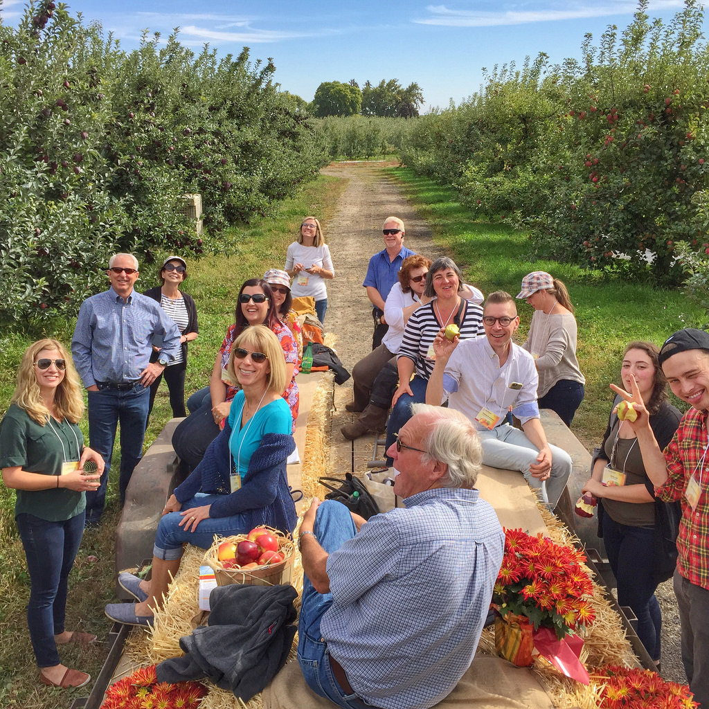 Ambrosia Apples - Apple Orchard Adventure via LizsHealthyTable.com