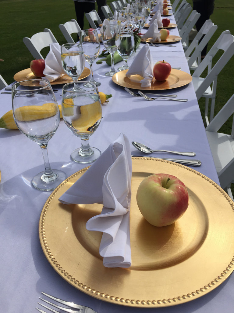 Ambrosia Apples - Apple Orchard Adventure via LizsHealthyTable.com