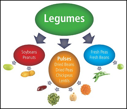 20 Healthy Lentil Recipes via LizsHealthyTable.com