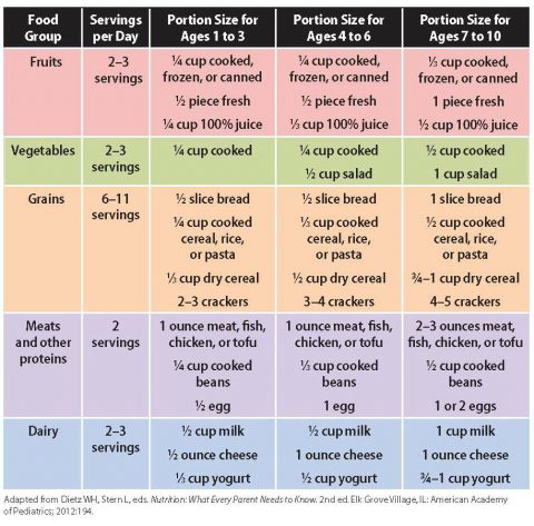 Portion Guide via LizsHealthyTable.com Give Snacks a Healthy Makeover via LizsHealthyTable.com
