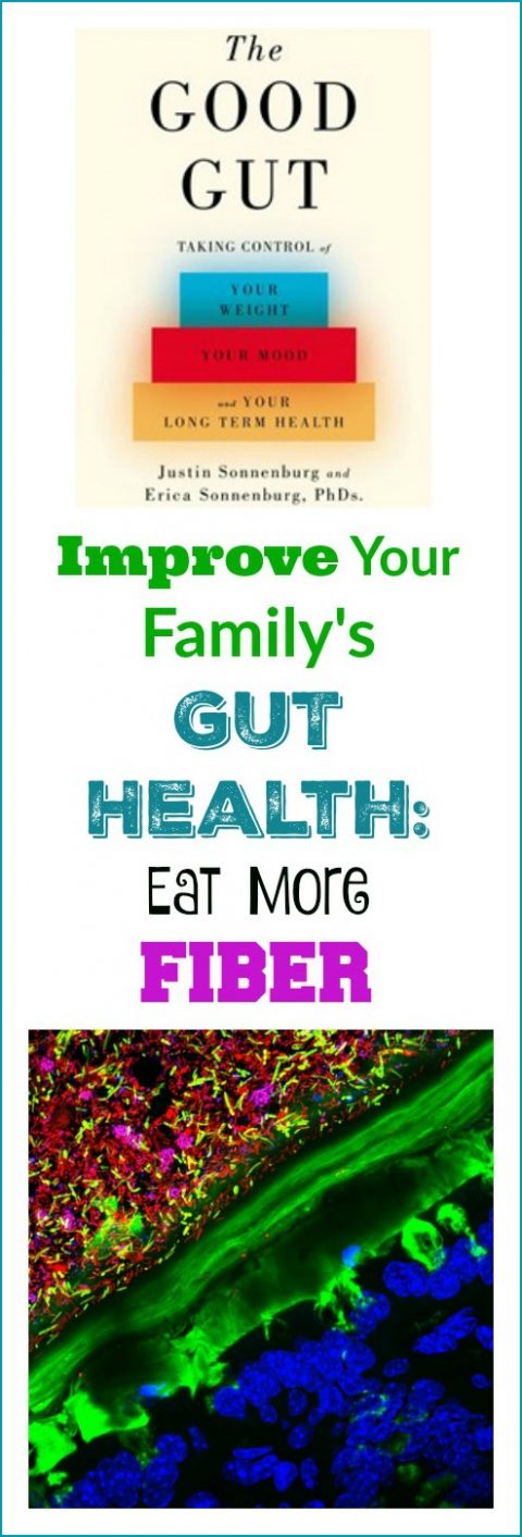 Gut Health via LizsHealthyTable.com Gut Health via LizsHealthyTable.com