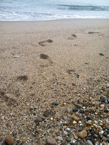 Nantucket Family Vacation via LizsHealthyTable.com