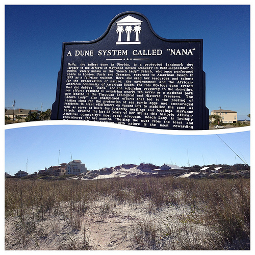 Amelia Island via LizsHealthyTable.com