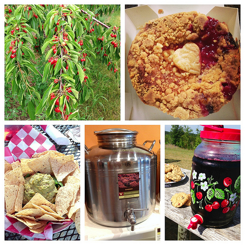 Tart Cherry Harvest in MI via LizsHealthyTable.com