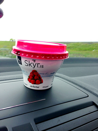 Skyr Yogurt in Iceland via Lizshealthytable.com
