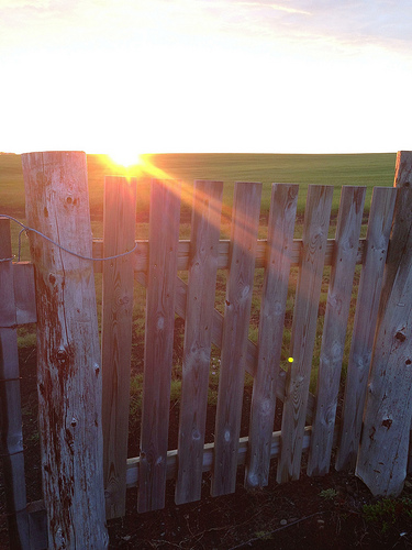 Sunset at Hotel Ranga via Lizshealthytable.com