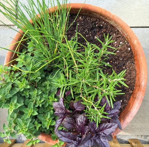 Fresh Herbs via LizsHealthyTable.com