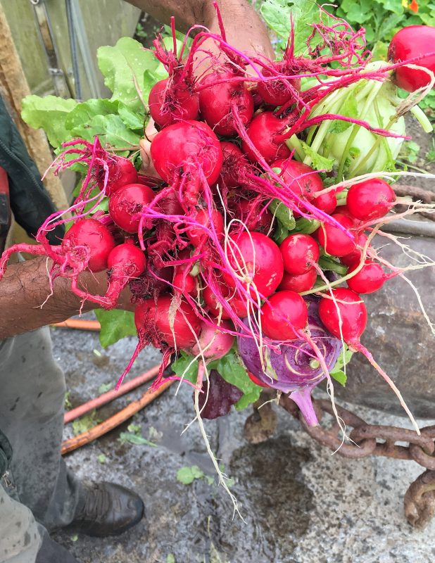 Farmers' Market Pizzas via lpzshealthytable.com #flatoutlove #pizza #vegetables #vegetarian