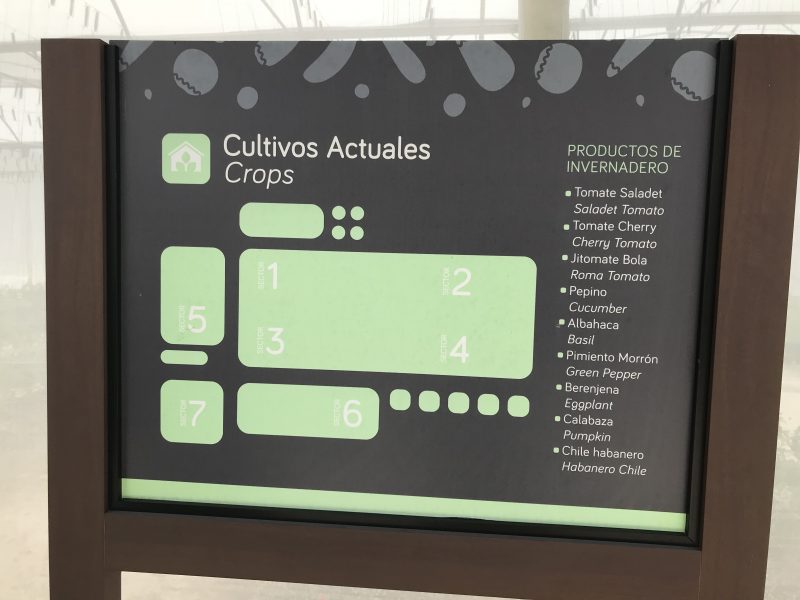 El Dorado Casitas Royale - vacation via lpzshealthytable.com #experienceeldorado Greenhouse