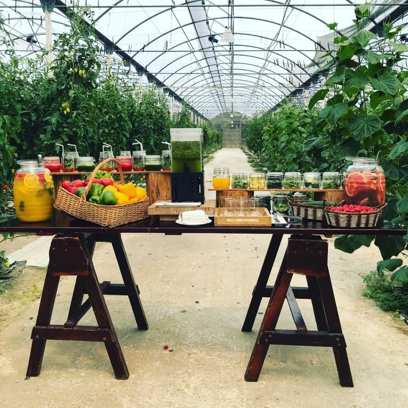 El Dorado Casitas Royale - vacation via lpzshealthytable.com #experienceeldorado Greenhouse