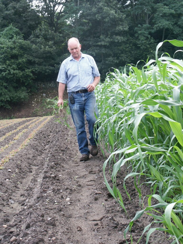 Asparagus Season with Wilson Farm via LizsHealthyTable.com #podcast