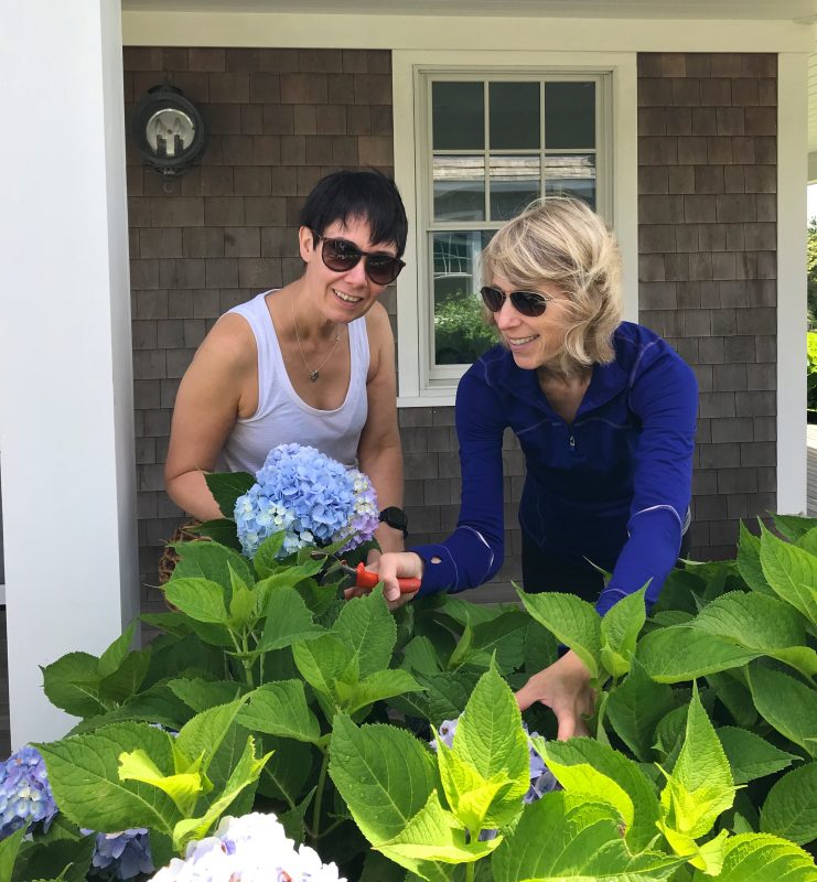 5 Ways to Keep Your Gut Health in Tip-Top Shape via LizsHealthyTable.com #microbiome