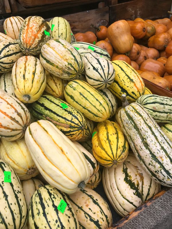 Delicata Squash