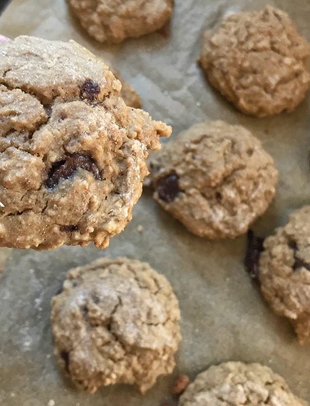 Red Lentil Snack Cookies via LizsHealthyTable.com 