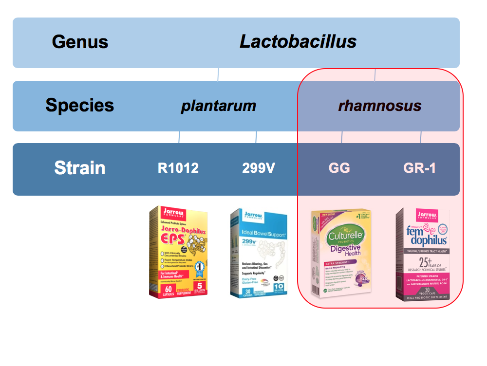 Probiotic Supplements with Jarrow Formulas via LizsHealthyTable.com #podcast