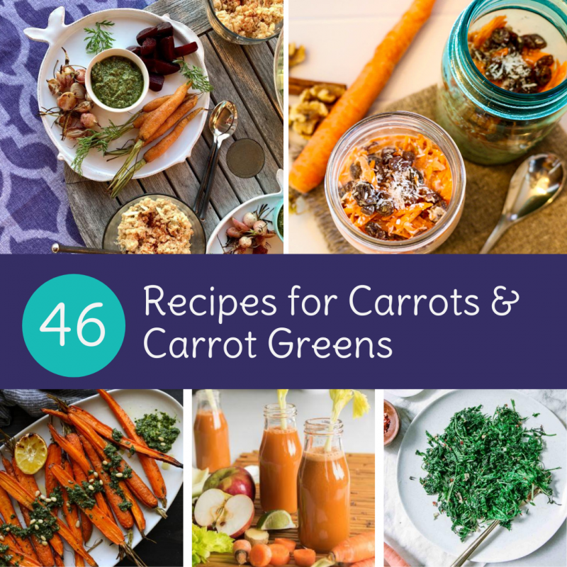 46 Recipes for Carrot and Carrot Greens (AKA Carrot Tops) via Lizshealthytable.com 