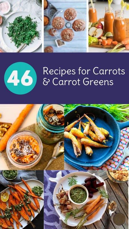 46 Recipes for Carrot and Carrot Greens (AKA Carrot Tops) via Lizshealthytable.com 