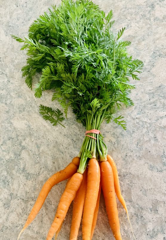 46 Recipes for Carrot and Carrot Greens (AKA Carrot Tops) via Lizshealthytable.com 